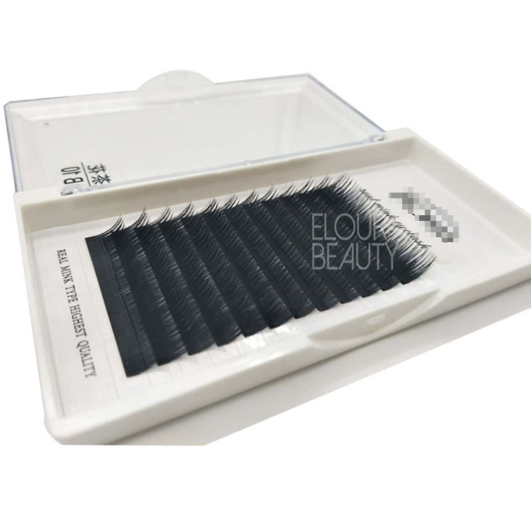 Lash plus new matte Camellia lash extensions OEM manufacturer EL40 